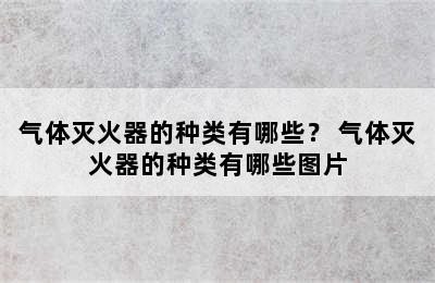 气体灭火器的种类有哪些？ 气体灭火器的种类有哪些图片